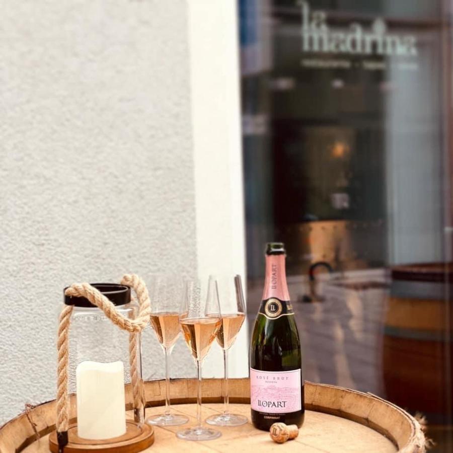 Apartamento Kueken Linz-landstrasse Linz